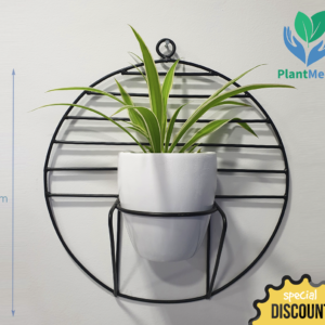 Wall Hanging Plant | PR-322