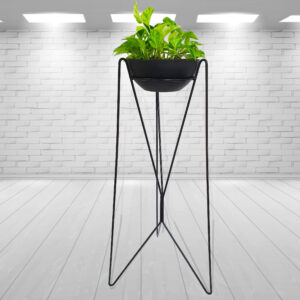 Premium Tall Indoor Plant with Black Pot - #502
