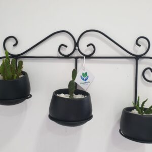 Triplet Pots Wall hanging Plant Rack | PS-901