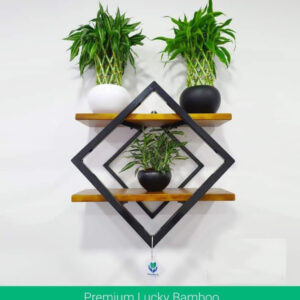 Wooden Wall Hanger - Diamond Shape