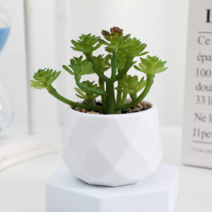 EternaHex Succulents – Artificial Mini Succulent Plants in Hexagon Pots (10 Designs)