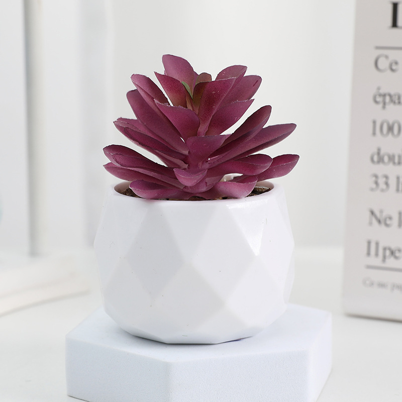 EternaHex Succulents – Artificial Mini Succulent Plants in Hexagon Pots (10 Designs) - Image 2