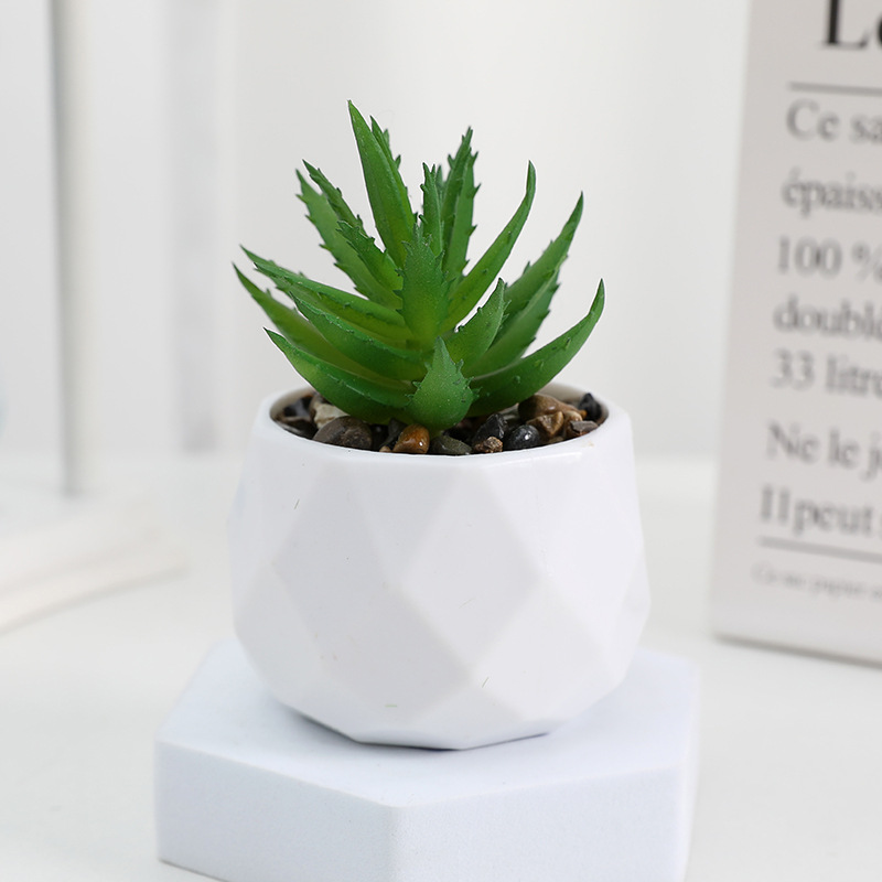 EternaHex Succulents – Artificial Mini Succulent Plants in Hexagon Pots (10 Designs) - Image 3