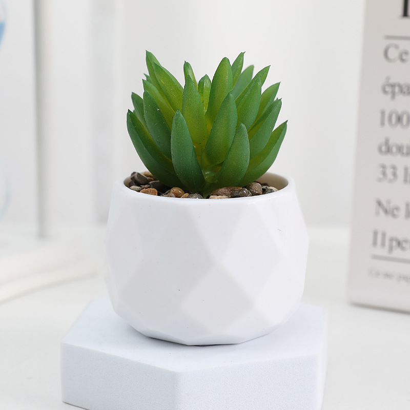 EternaHex Succulents – Artificial Mini Succulent Plants in Hexagon Pots (10 Designs) - Image 4