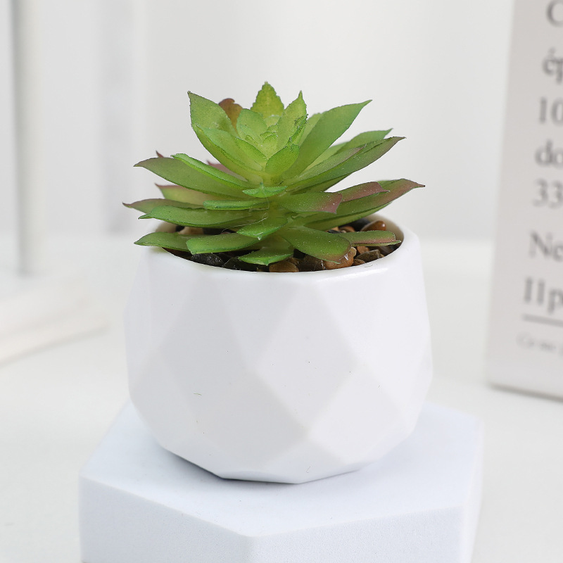 EternaHex Succulents – Artificial Mini Succulent Plants in Hexagon Pots (10 Designs) - Image 5