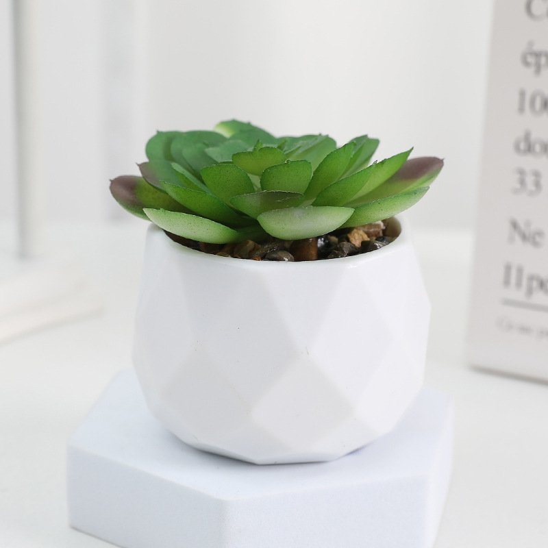 EternaHex Succulents – Artificial Mini Succulent Plants in Hexagon Pots (10 Designs) - Image 6