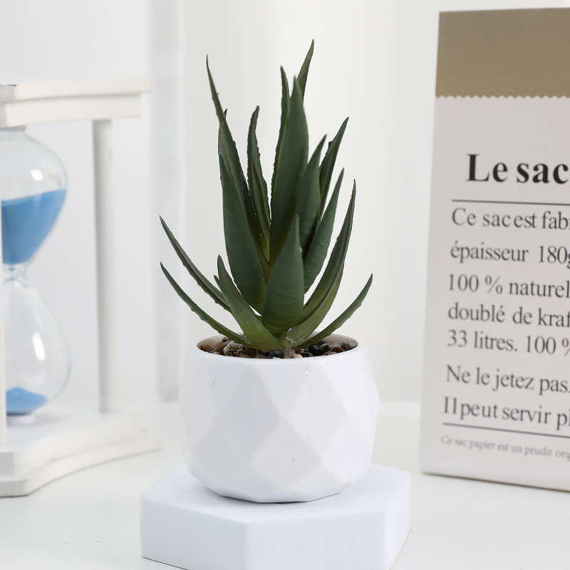 EternaHex Succulents – Artificial Mini Succulent Plants in Hexagon Pots (10 Designs) - Image 7