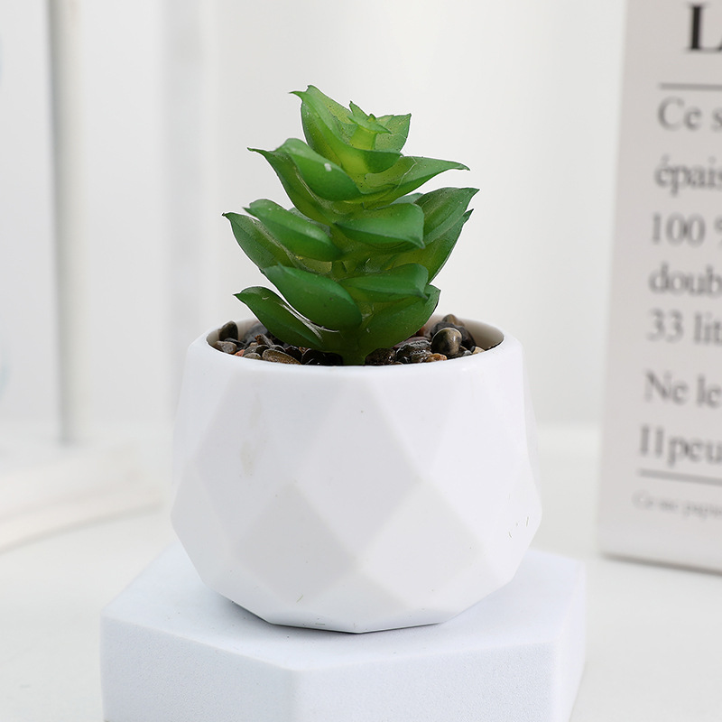 EternaHex Succulents – Artificial Mini Succulent Plants in Hexagon Pots (10 Designs) - Image 8
