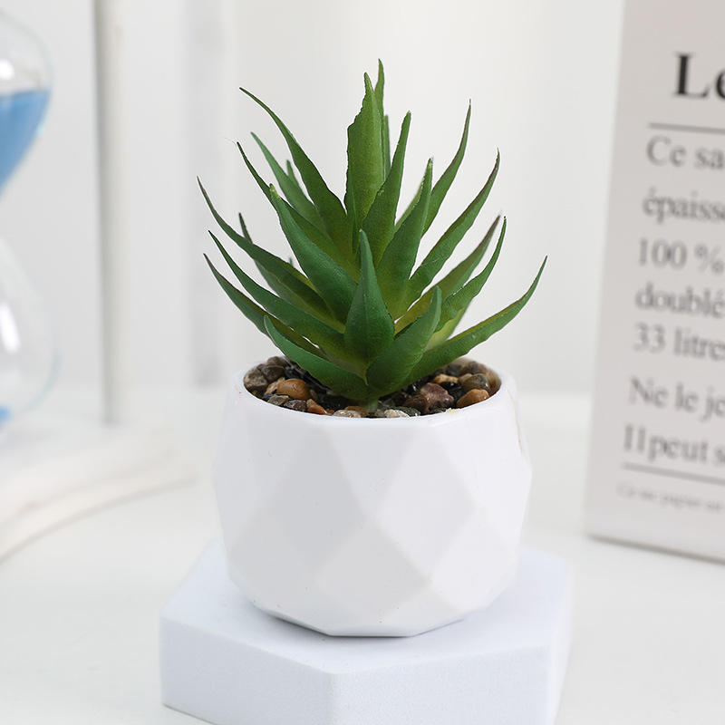 EternaHex Succulents – Artificial Mini Succulent Plants in Hexagon Pots (10 Designs) - Image 9