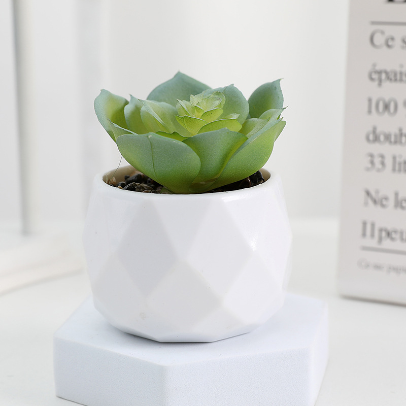 EternaHex Succulents – Artificial Mini Succulent Plants in Hexagon Pots (10 Designs) - Image 10