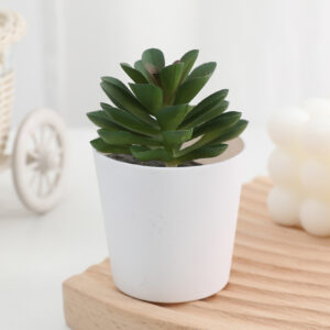 BucketBloom Succulents – Artificial Mini Succulent Plants in White Bucket Pots (7 Designs)