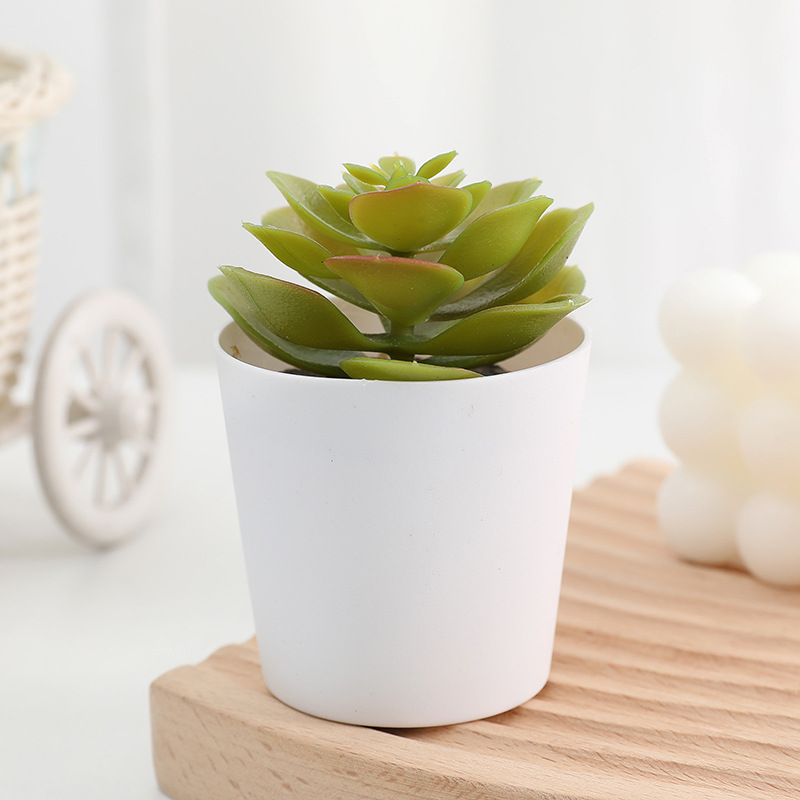 BucketBloom Succulents – Artificial Mini Succulent Plants in White Bucket Pots (7 Designs) - Image 2
