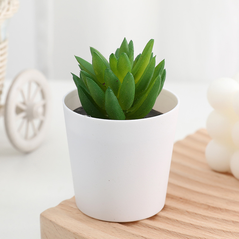 BucketBloom Succulents – Artificial Mini Succulent Plants in White Bucket Pots (7 Designs) - Image 7