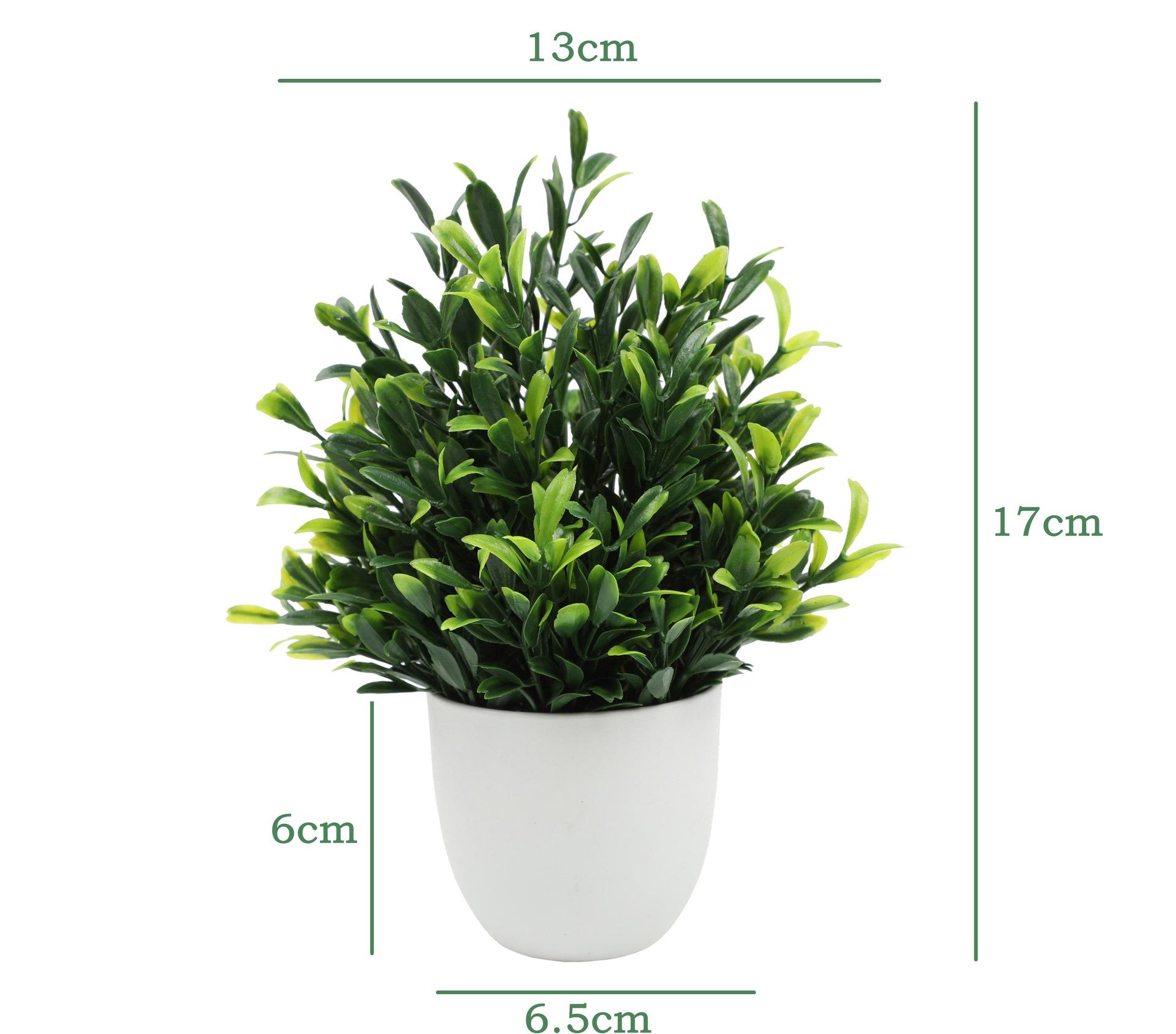LeafLuxe Collection – Artificial Mini Plants in Pots (19cm, 9 Designs) - Image 2