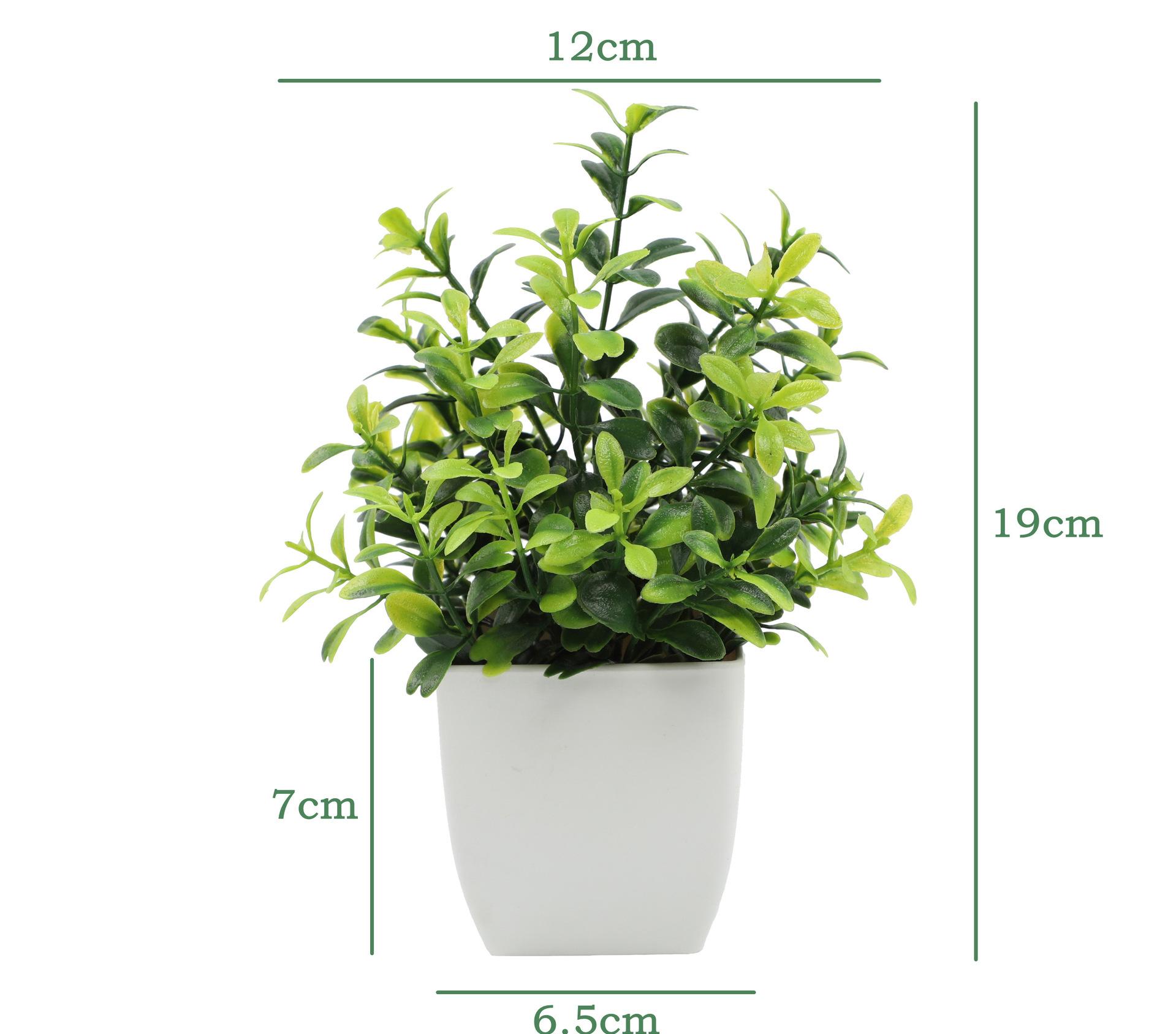 LeafLuxe Collection – Artificial Mini Plants in Pots (19cm, 9 Designs) - Image 8