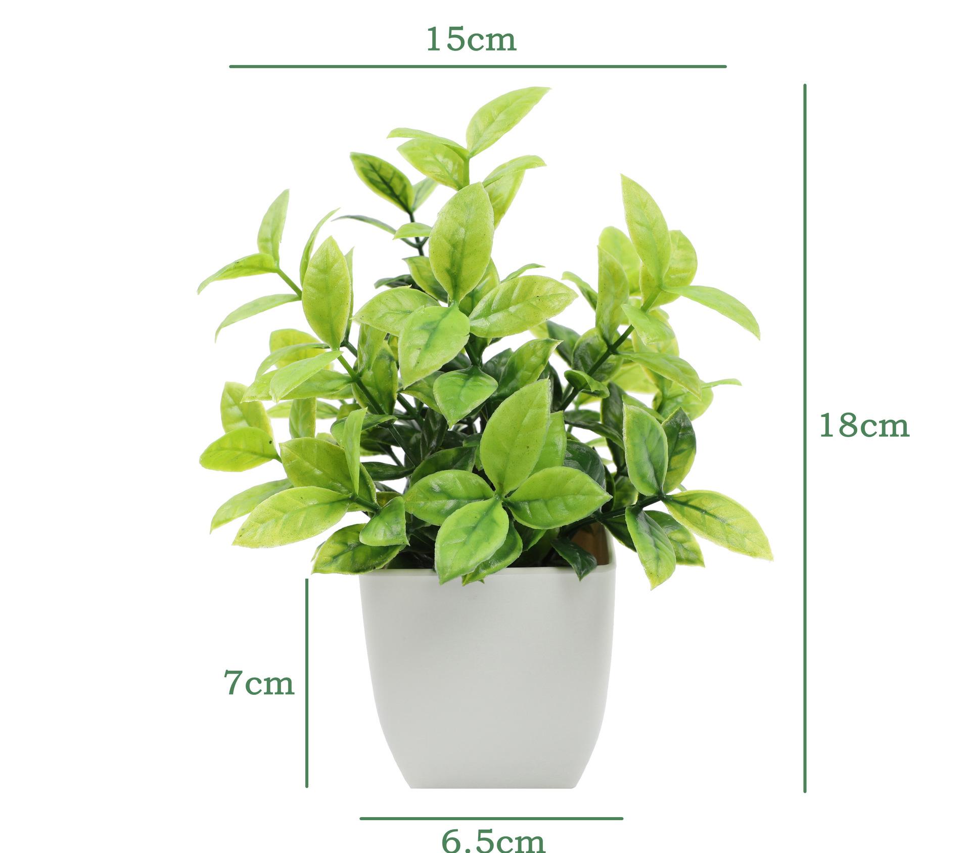 LeafLuxe Collection – Artificial Mini Plants in Pots (19cm, 9 Designs) - Image 9