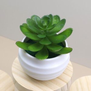 EternaBloom Succulents – Artificial Mini Succulent Plants in Pots (7.5cm, 5 Colors)