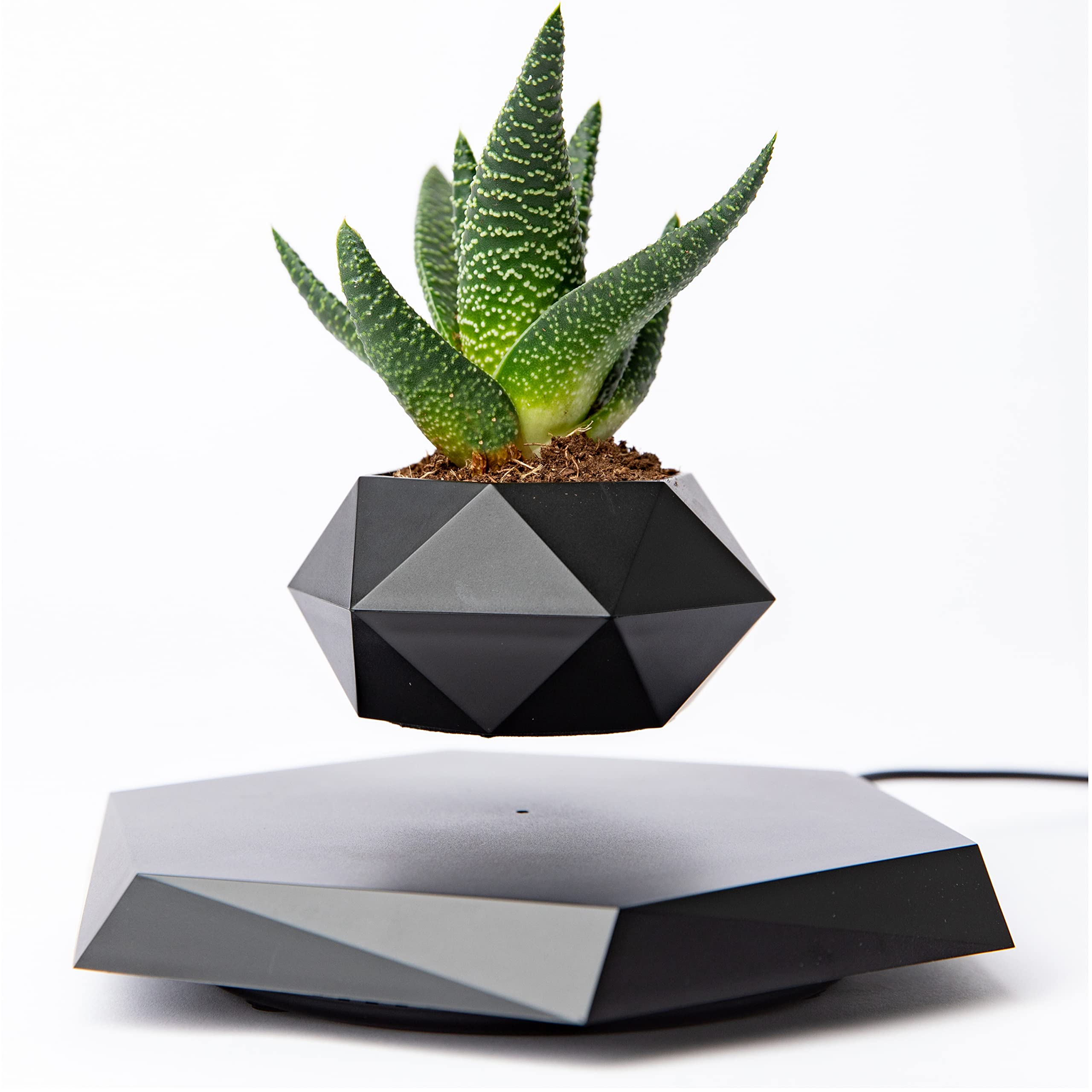 Levitating Plant – Magnetic Floating Planter