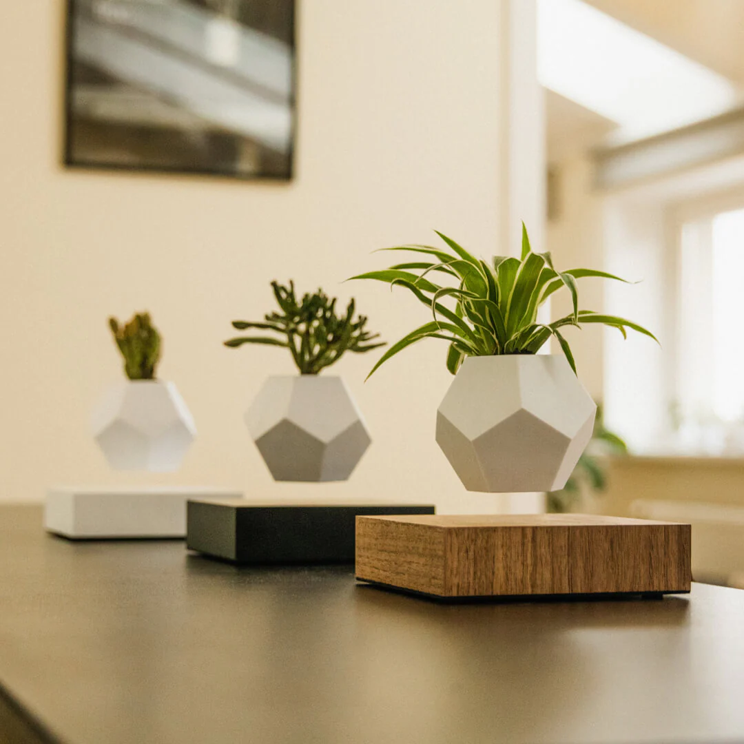 Levitating Plant – Magnetic Floating Planter - Image 3