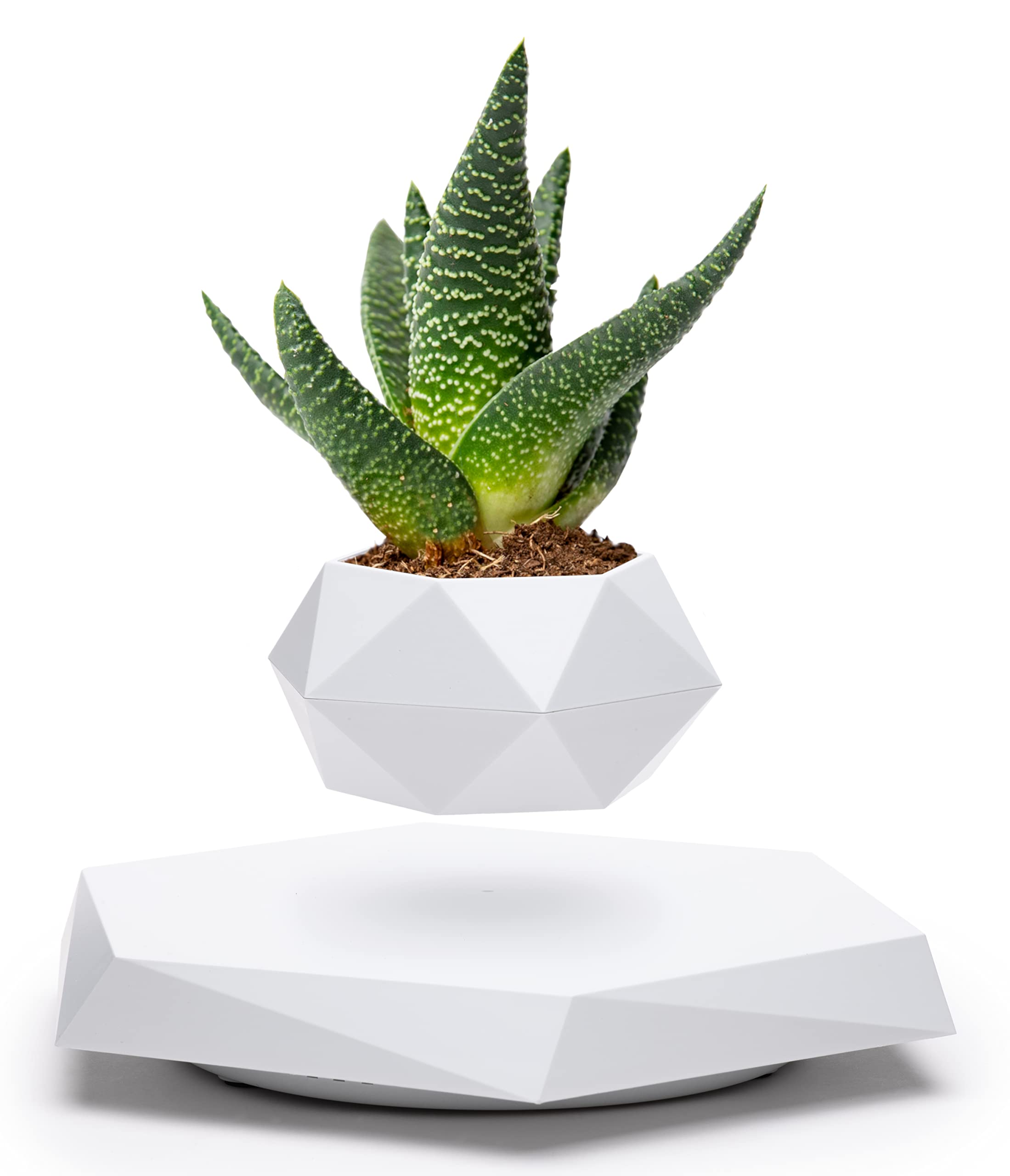 Levitating Plant – Magnetic Floating Planter - Image 2