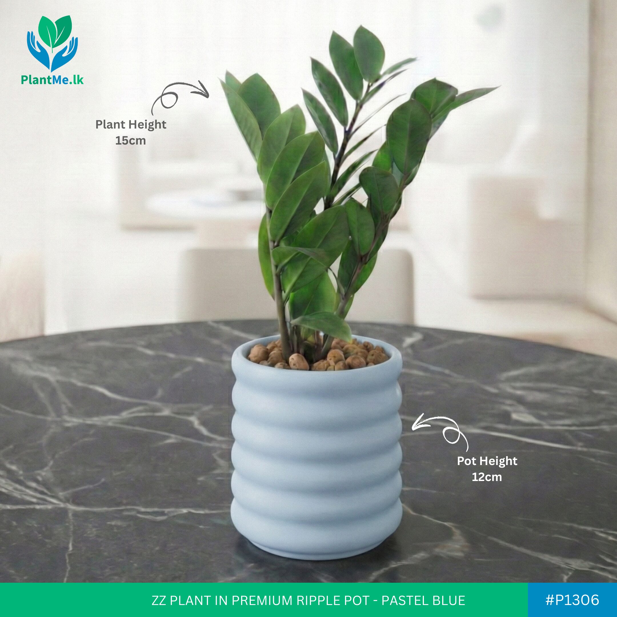 ZZ Plant in Premium Ripple Pot - Image 7