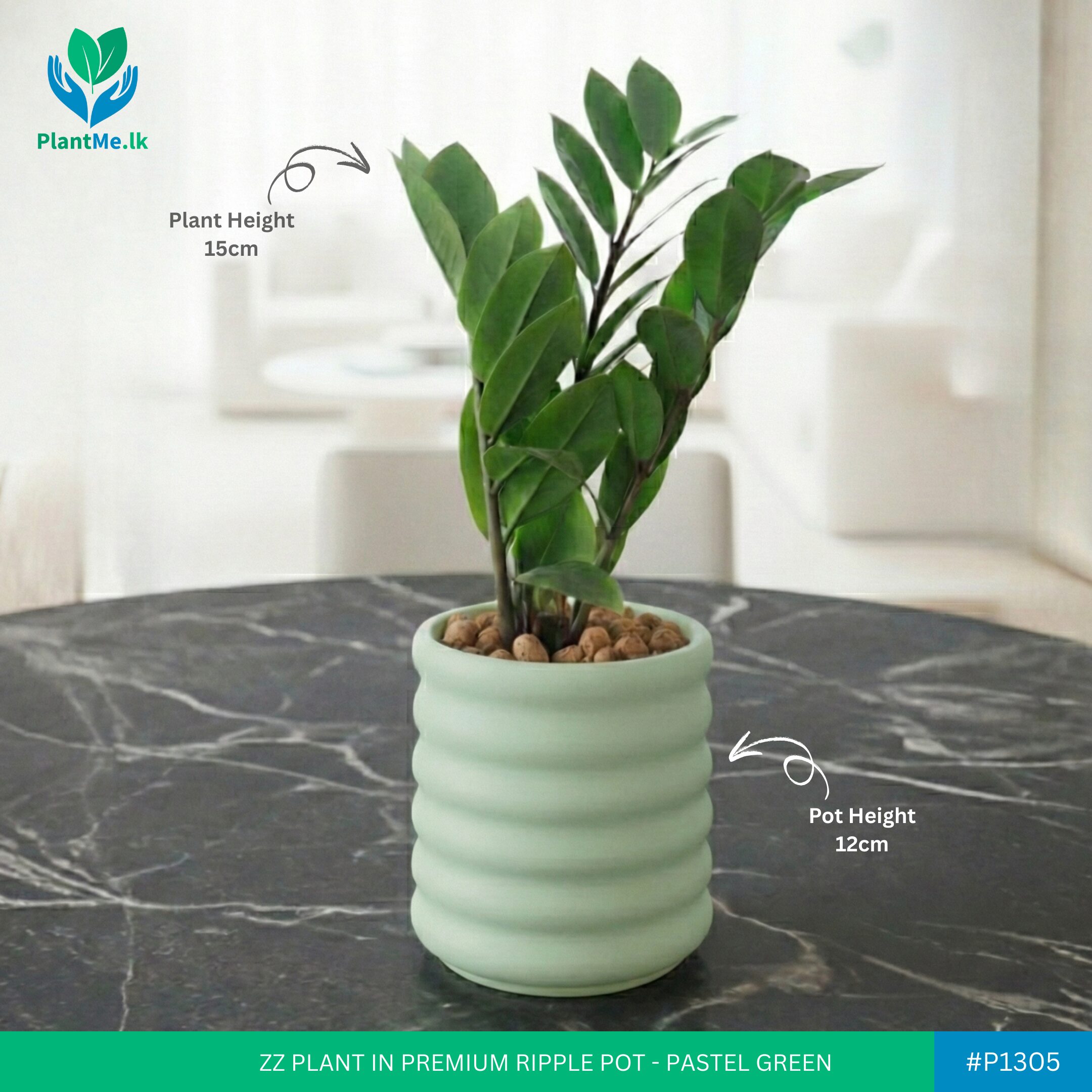 ZZ Plant in Premium Ripple Pot - Image 6