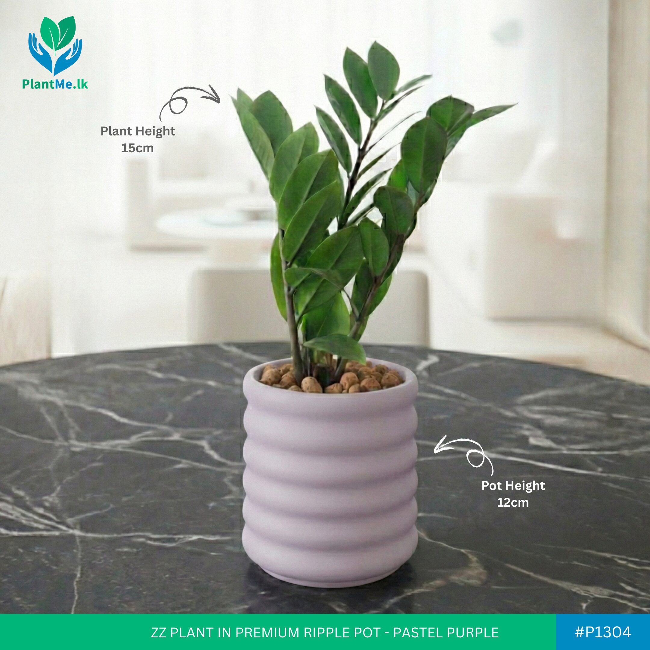 ZZ Plant in Premium Ripple Pot - Image 4