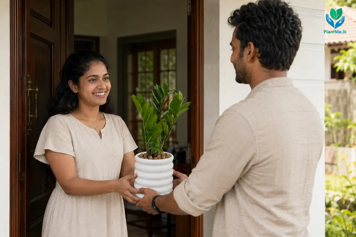 Housewarming plant gift being received at a Sri Lankan home
