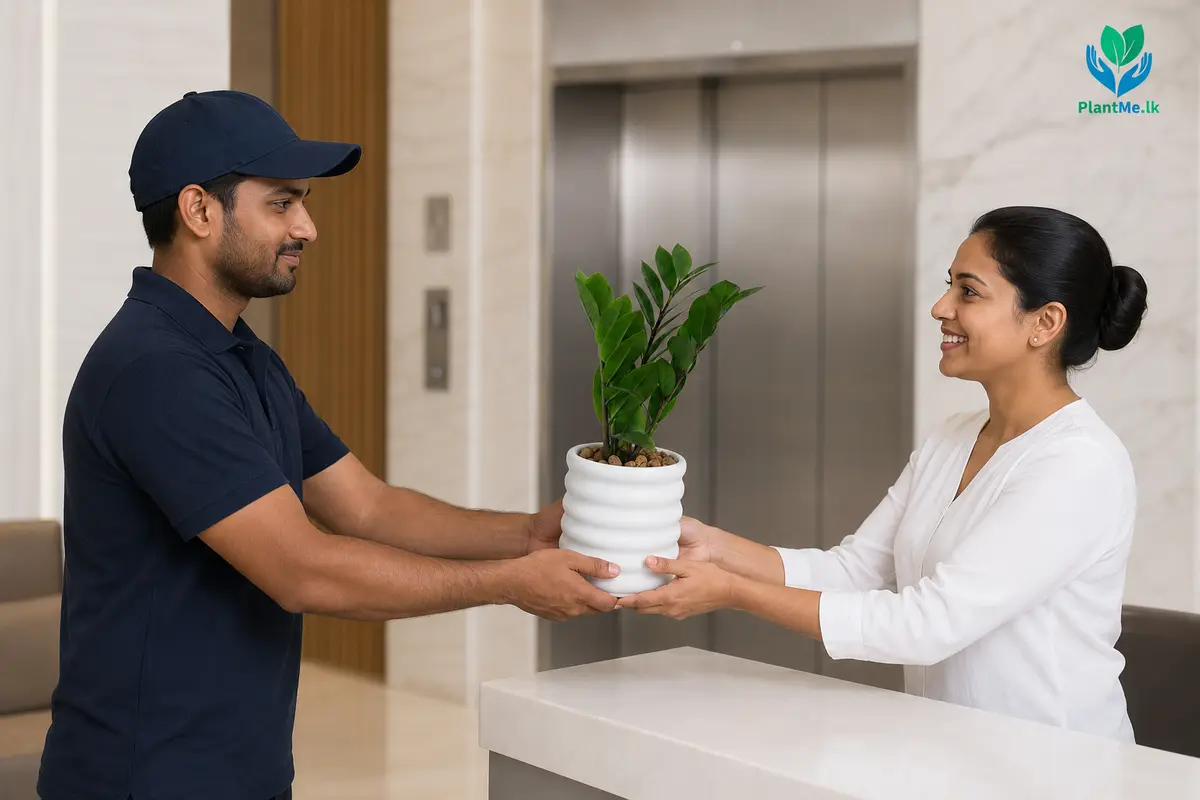 PlantMe plant delivered through an apartment reception
